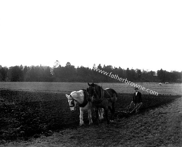 ON THE FARM EMO COURT PLOUGHING WITH HORSES